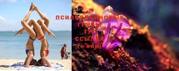 амф Зеленокумск