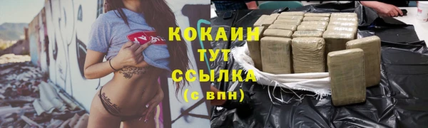 амф Зеленокумск